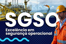 Res. ANP 43 / 2007 - SGSO